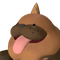 Polapup Terra